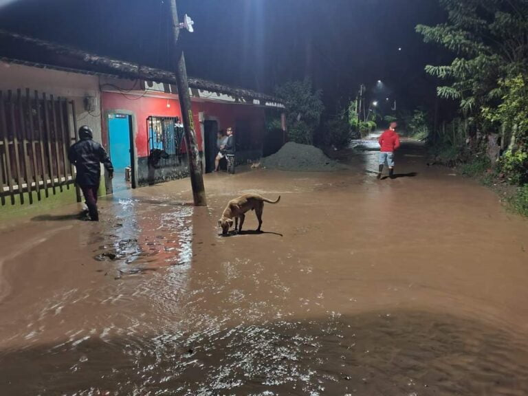 Foto Alcalde de Supía