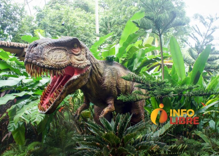 Estudiante de la U. de Caldas participó en descubrimiento de dinosaurio colombiano