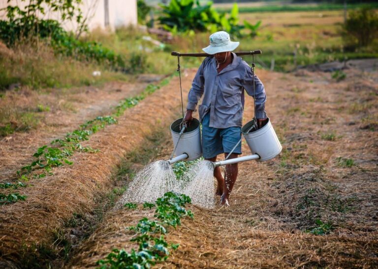 Facilidades en crédito para los campesinos de Colombia