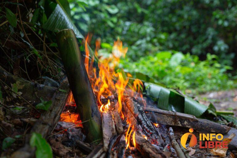 Tome medidas ante posibles incendios de capa vegetal