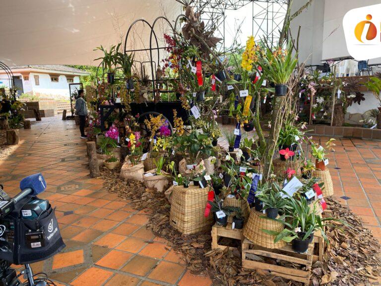 Comenzó la 17° Exposición Nacional de Orquídeas de Manizales