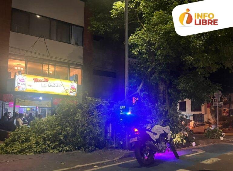 Caída de ramas de un árbol en el barrio Milán (Manizales)