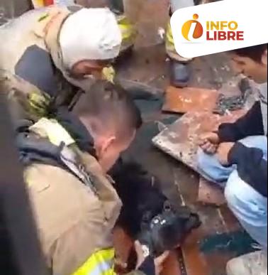 rescate perros Bogotá Captura video Facebook, Cuerpo Oficial de Bomberos de Bogotá