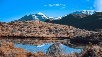 Parque Nacional Natural los Nevados