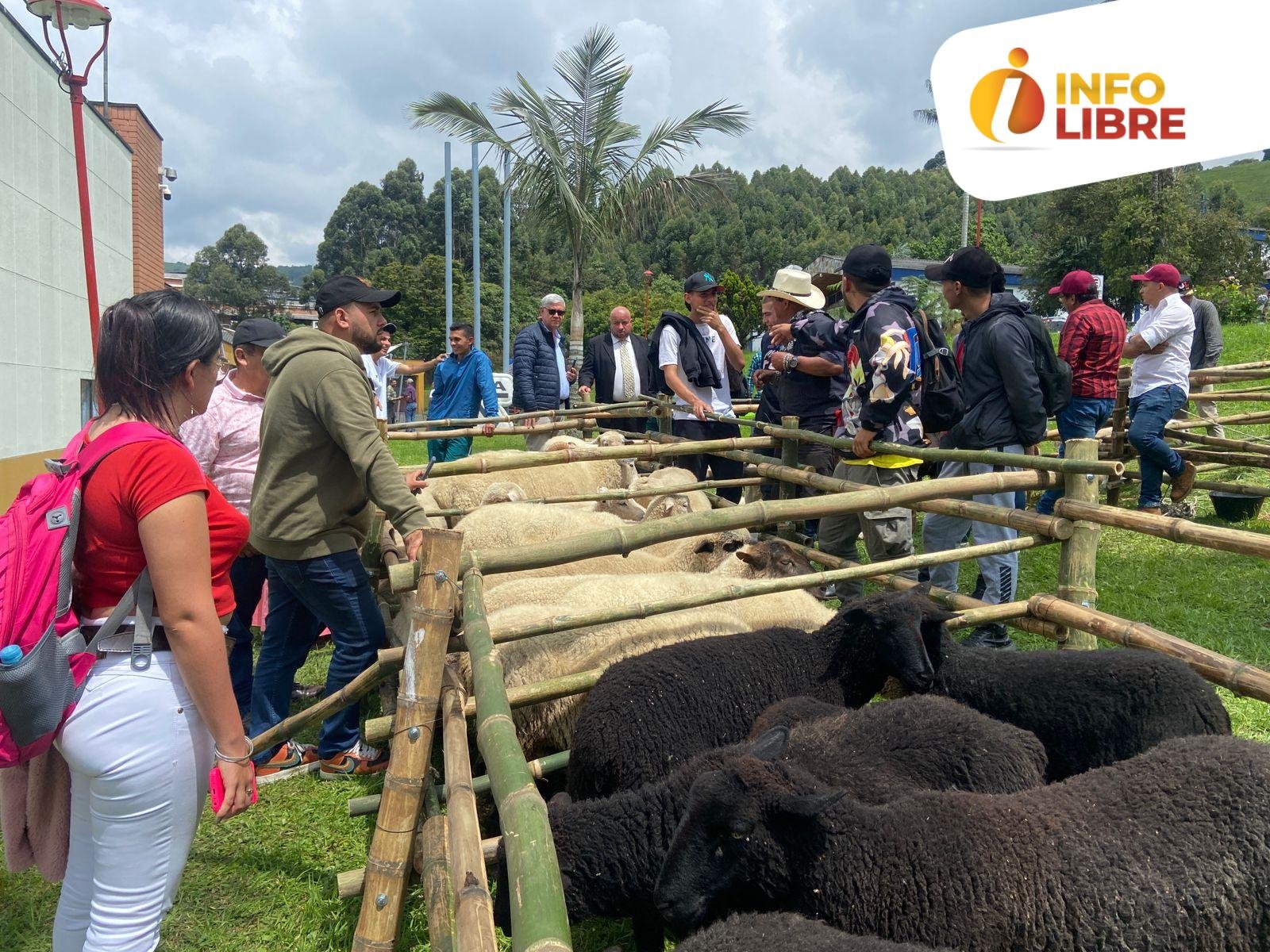 Ovinocultura y Capricultura en Caldas.