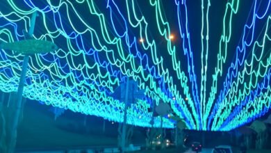 Alumbrado Navideño de Manizales