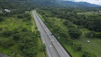 Seguridad Vial