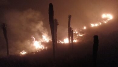 Incendio en el Parque Nacional Natural de los Nevados