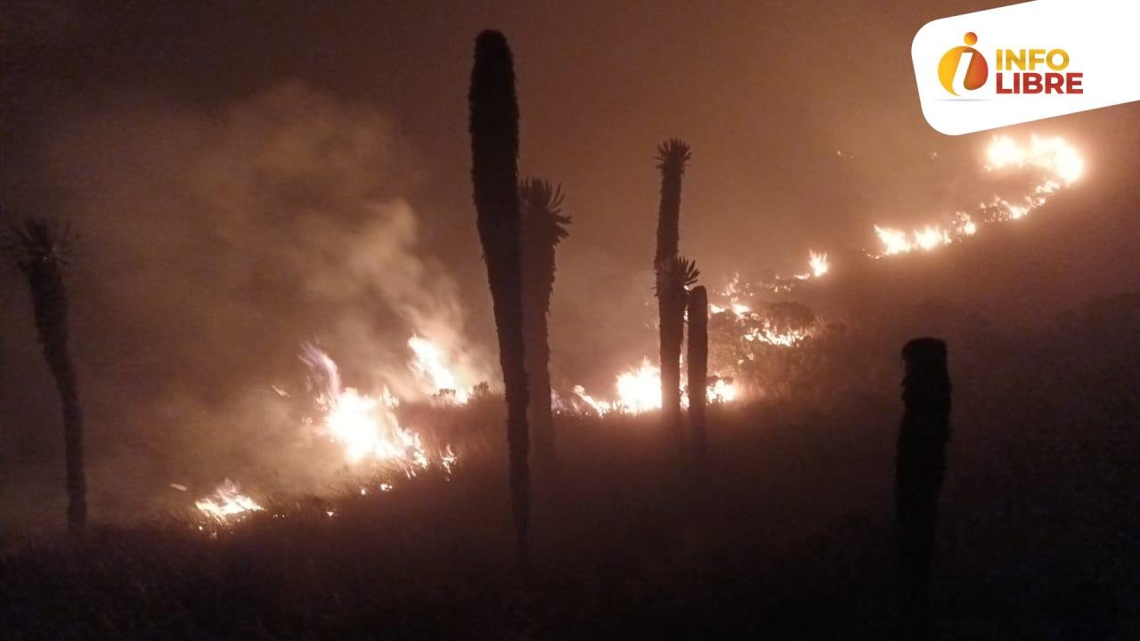 Incendio en el Parque Nacional Natural de los Nevados