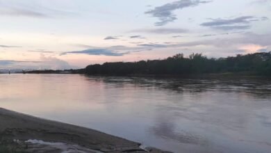 Estafas en Trámites de Tierras