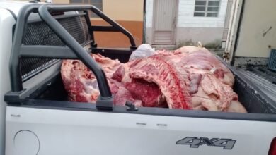 Consumo de Carne