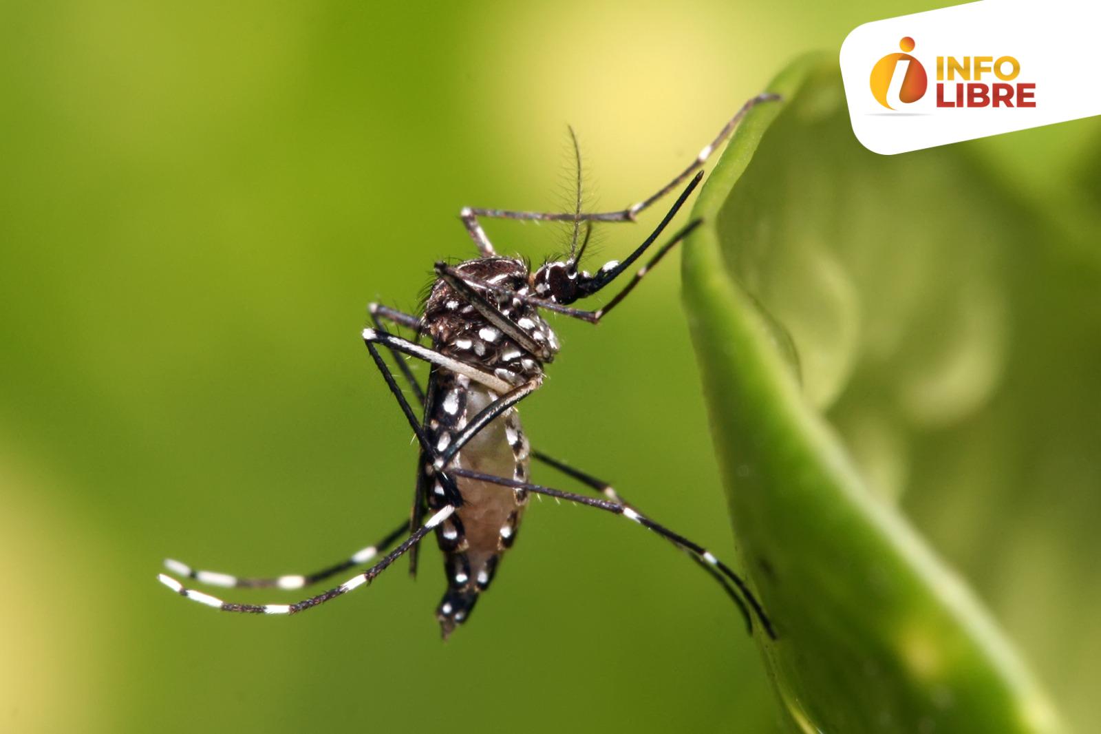 WhatsApp-Image-2024-01-12-at-11.42.30-AM dengue en Caldas