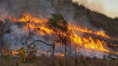 Fenómeno de El Niño