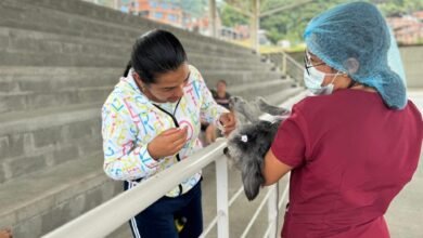 Jornada de Esterilización