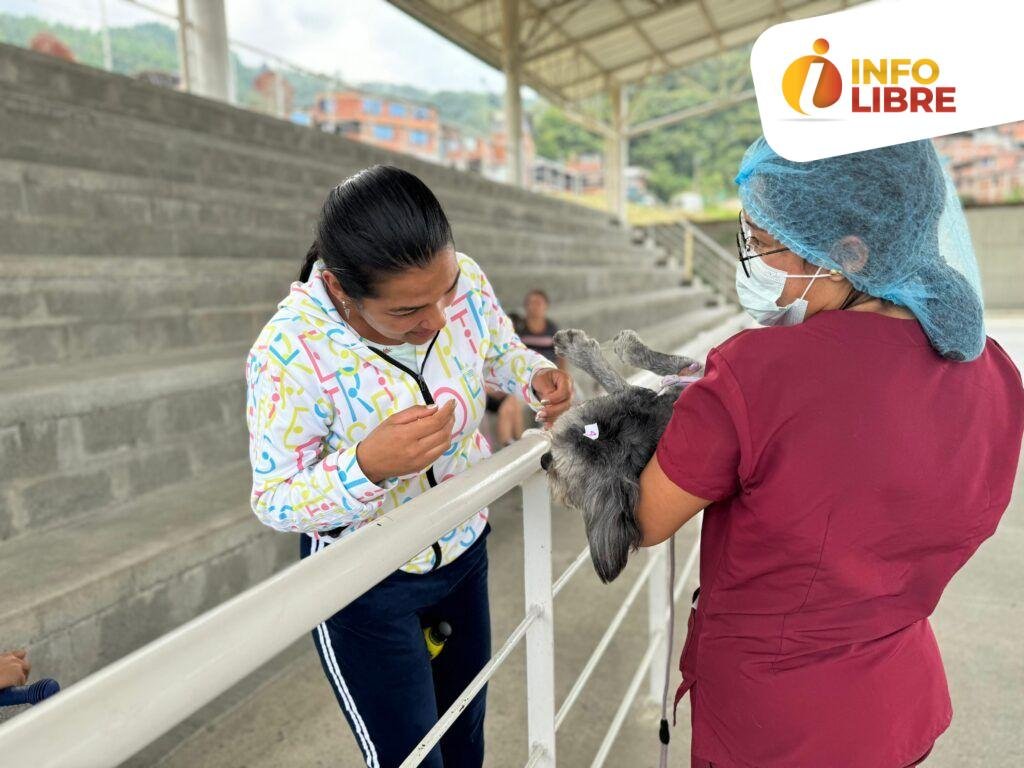 Jornada de Esterilización