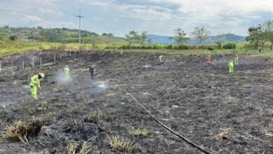 Incendio forestal