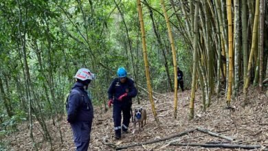 Perros de Búsqueda y Rescate