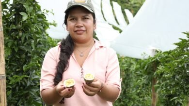 mujeres emprendedoras