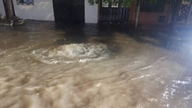 primera temporada de lluvias