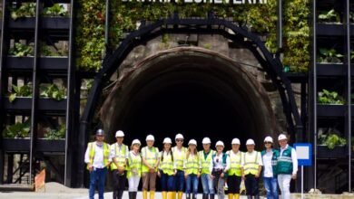 Túnel del Toyo