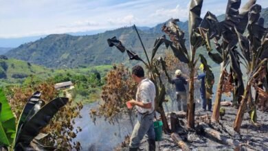 Incendios Forestales