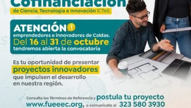 innovación