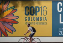 COP16