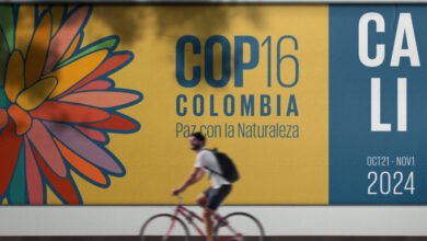 COP16