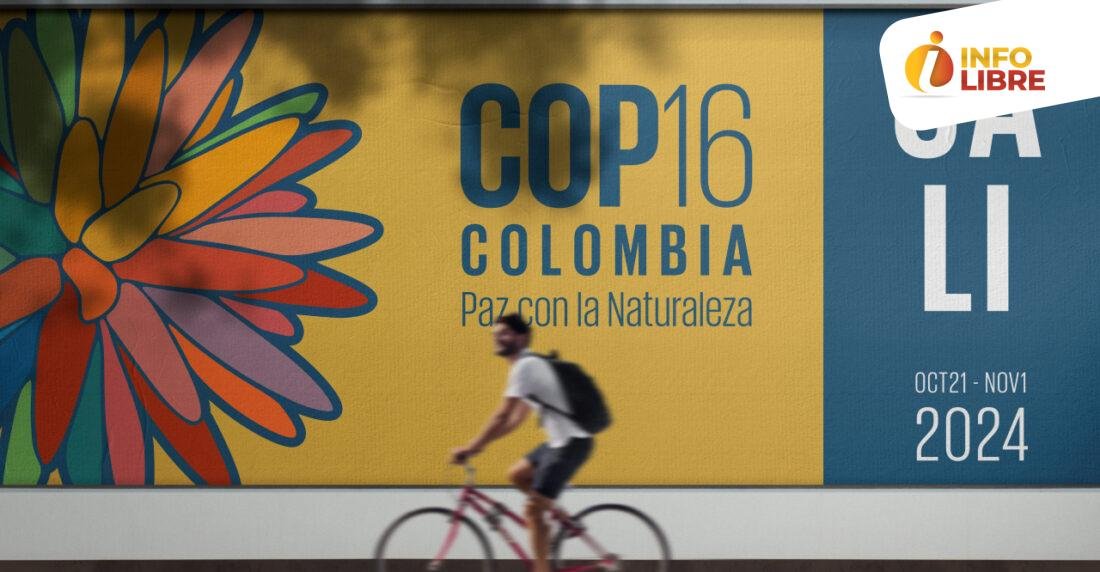 COP16