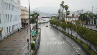 Día sin Carro