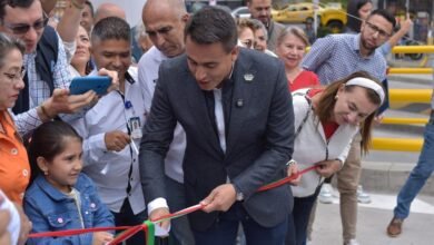 Intercambiador Vial Los Cedros