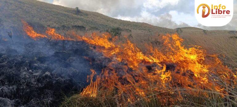 incendios forestales