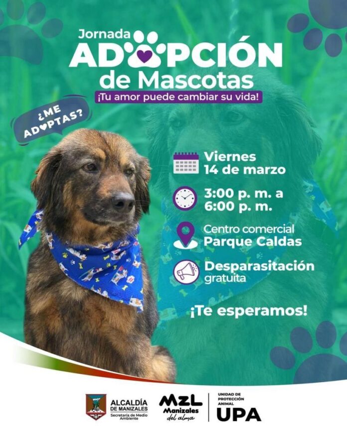 adopción responsable