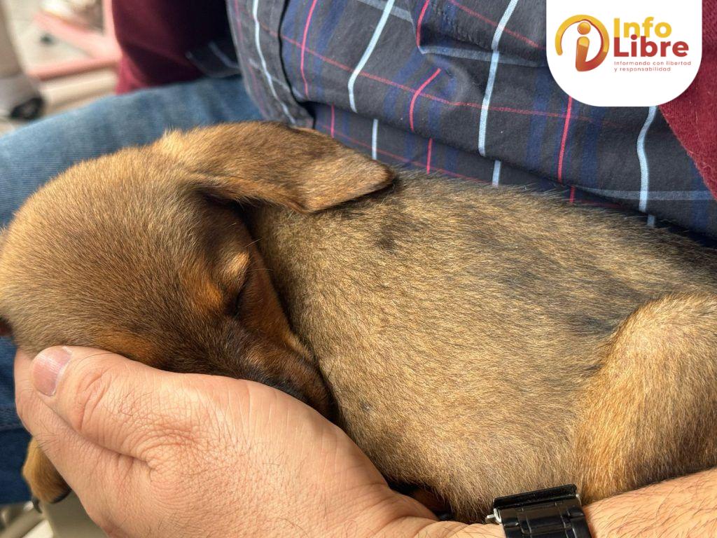 WhatsApp-Image-2025-04-14-at-9.55.12-AM-1-1024x768 UPA