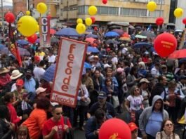 paro docente