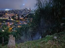 incendio de capa vegetal