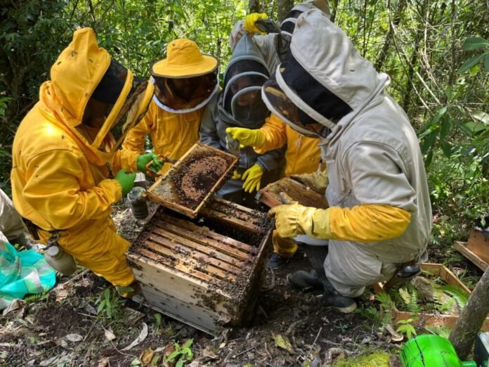 Muerte de abejas