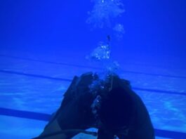 piscina olímpica