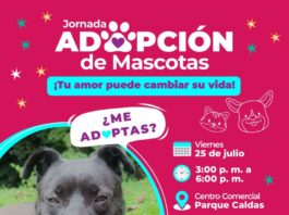 Jornada de adopción de mascotas
