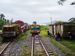 Tren del Café
